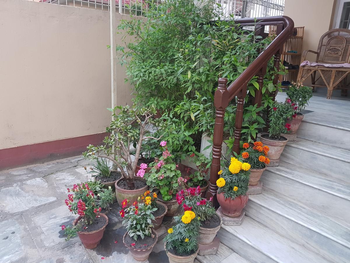 Cozy Home Jawlakhel Ngoại thất bức ảnh